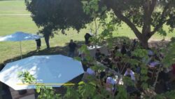 המנגליסטים - אירוע חברה בהפקה מלאה פארק הירקון המנגליסטים - אירוע חברה בהפקה מלאה פארק הירקון